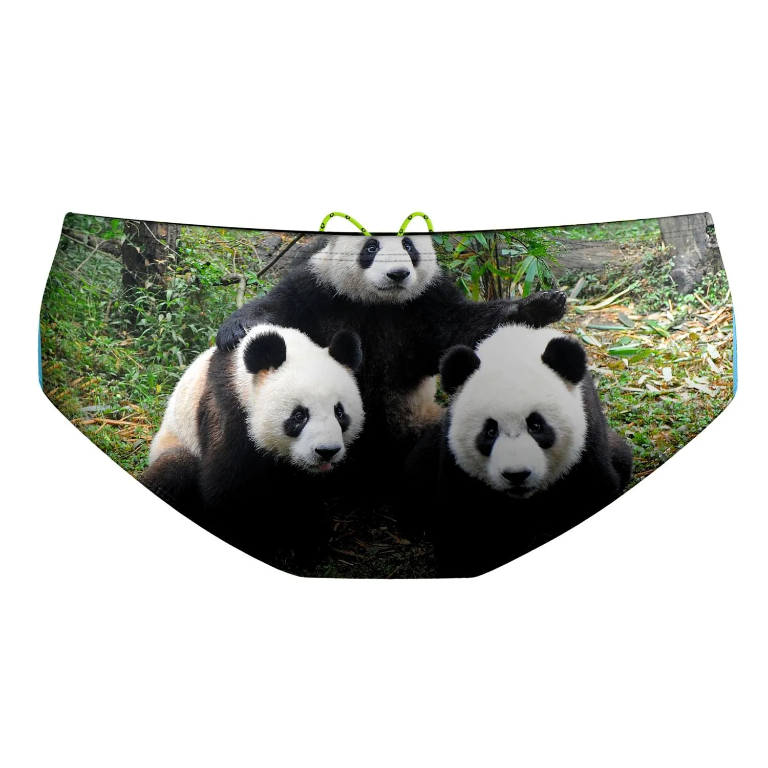 Panda Bear Classic Brief Swimsuit