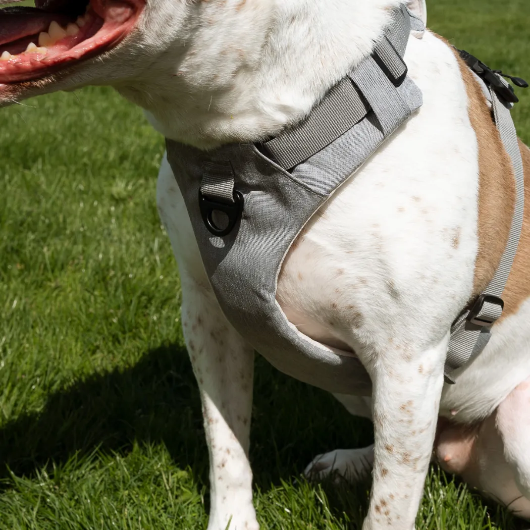 Up Dog Magnetic Harness