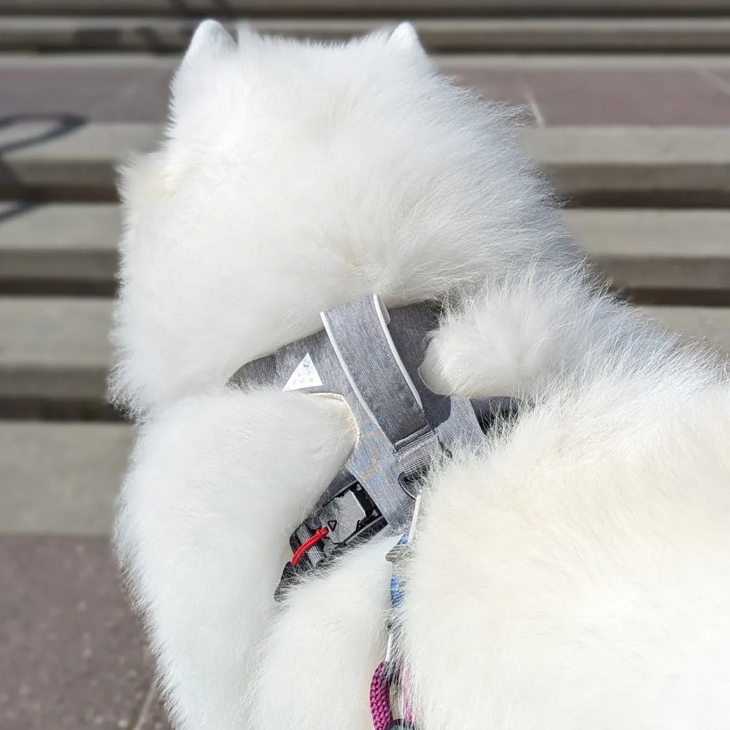 Up Dog Magnetic Harness